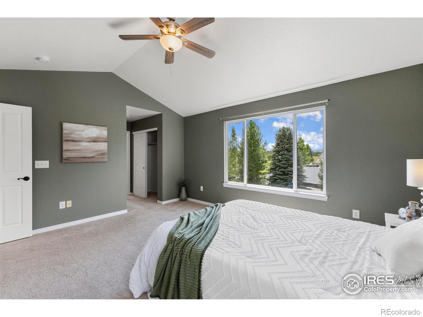 MLS Image #19 for 5409  rabbit creek road,fort collins, Colorado