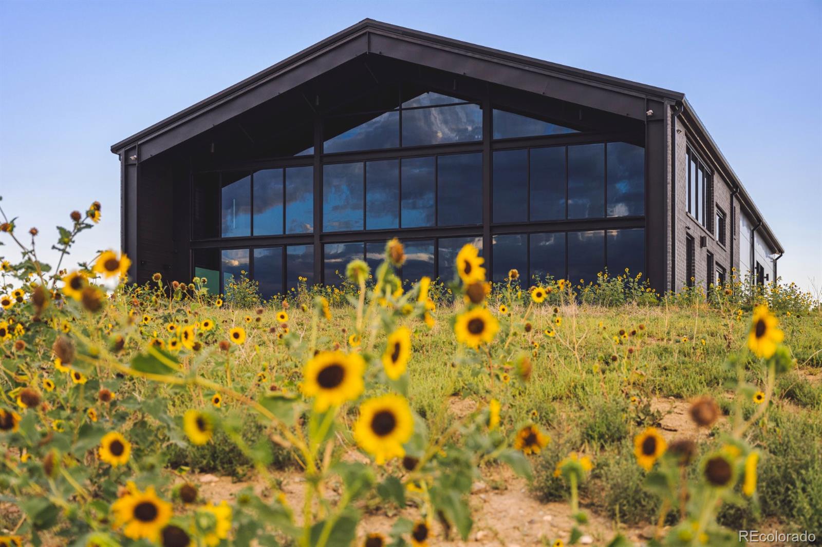 MLS Image #2 for 6502  kiva ridge drive,berthoud, Colorado