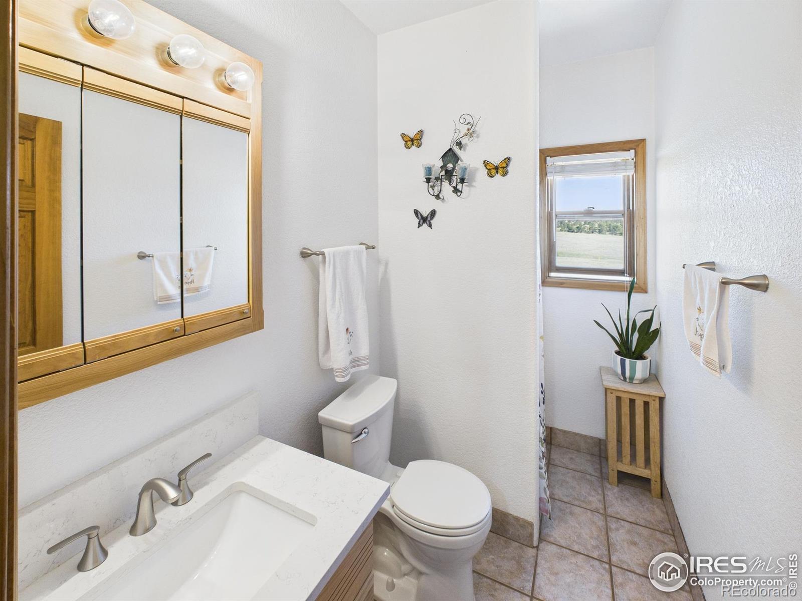 MLS Image #16 for 188  walno avenue,livermore, Colorado