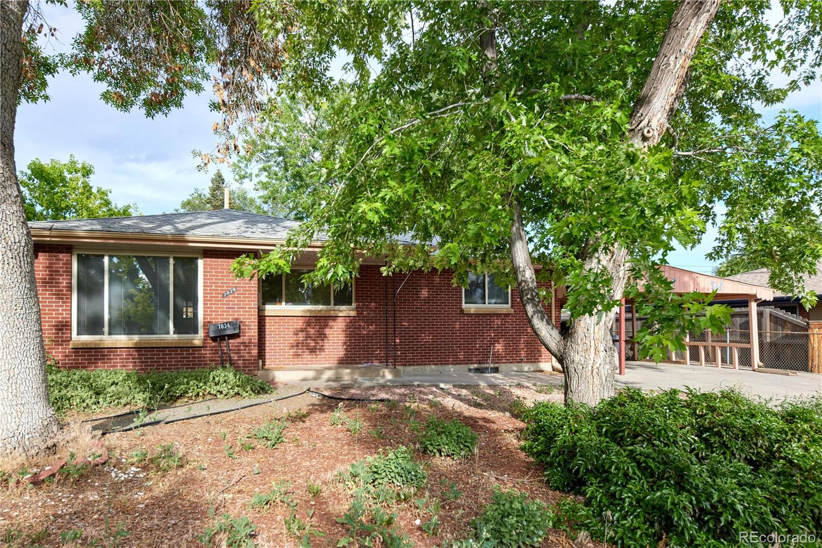 MLS Image #4 for 7834  wyandot street,denver, Colorado