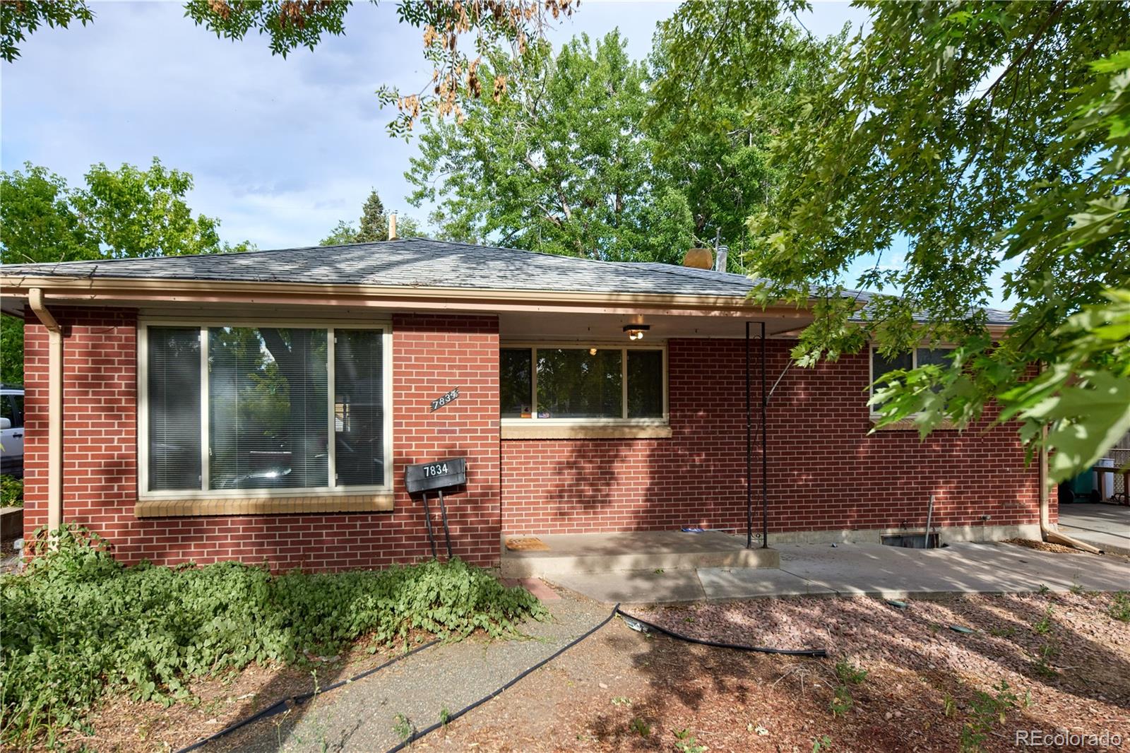 MLS Image #5 for 7834  wyandot street,denver, Colorado