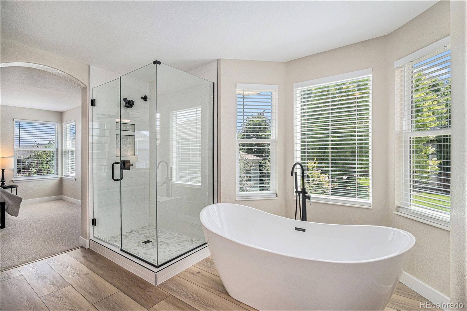 MLS Image #14 for 17174 e rosebay circle,parker, Colorado