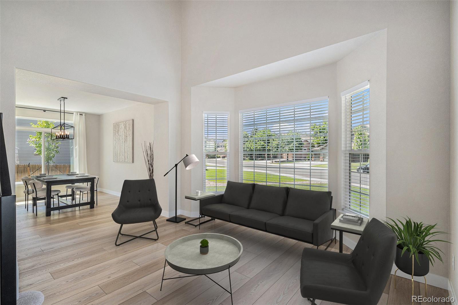 MLS Image #3 for 17174 e rosebay circle,parker, Colorado