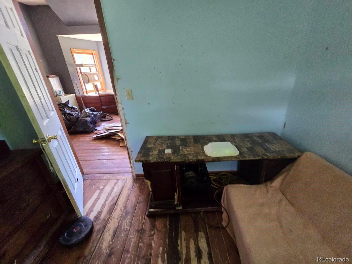MLS Image #10 for 135  lupine lane,leadville, Colorado