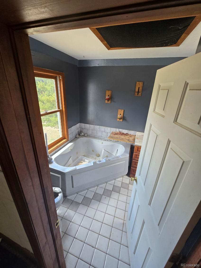 MLS Image #11 for 135  lupine lane,leadville, Colorado