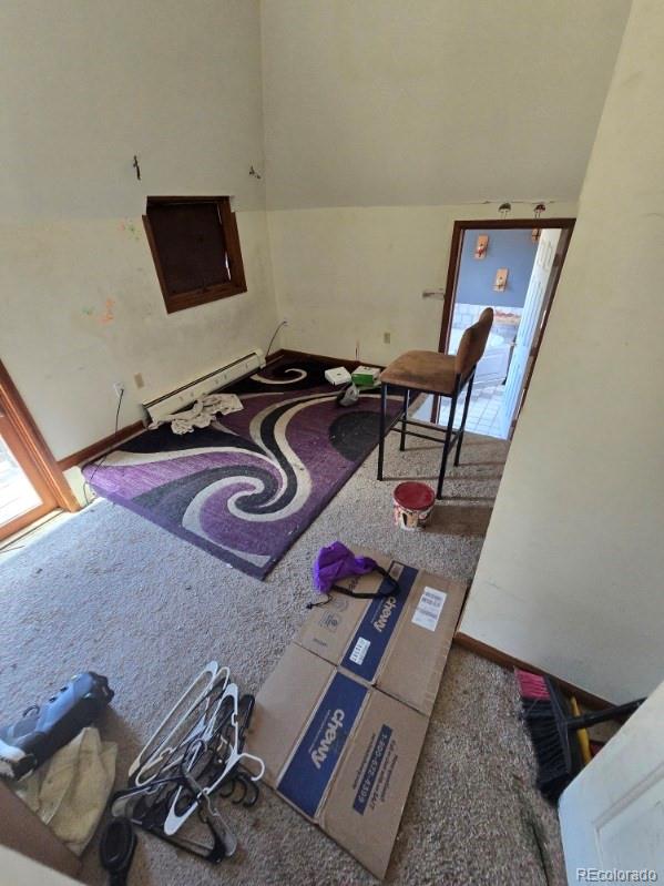 MLS Image #12 for 135  lupine lane,leadville, Colorado