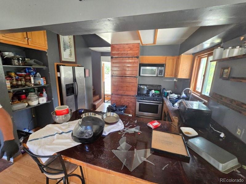 MLS Image #2 for 135  lupine lane,leadville, Colorado