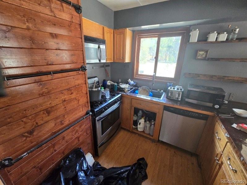 MLS Image #3 for 135  lupine lane,leadville, Colorado