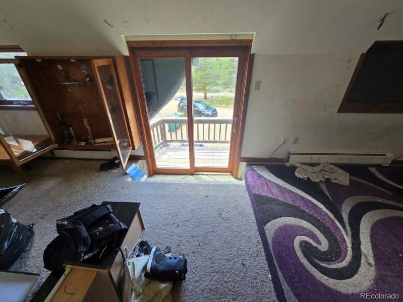 MLS Image #8 for 135  lupine lane,leadville, Colorado