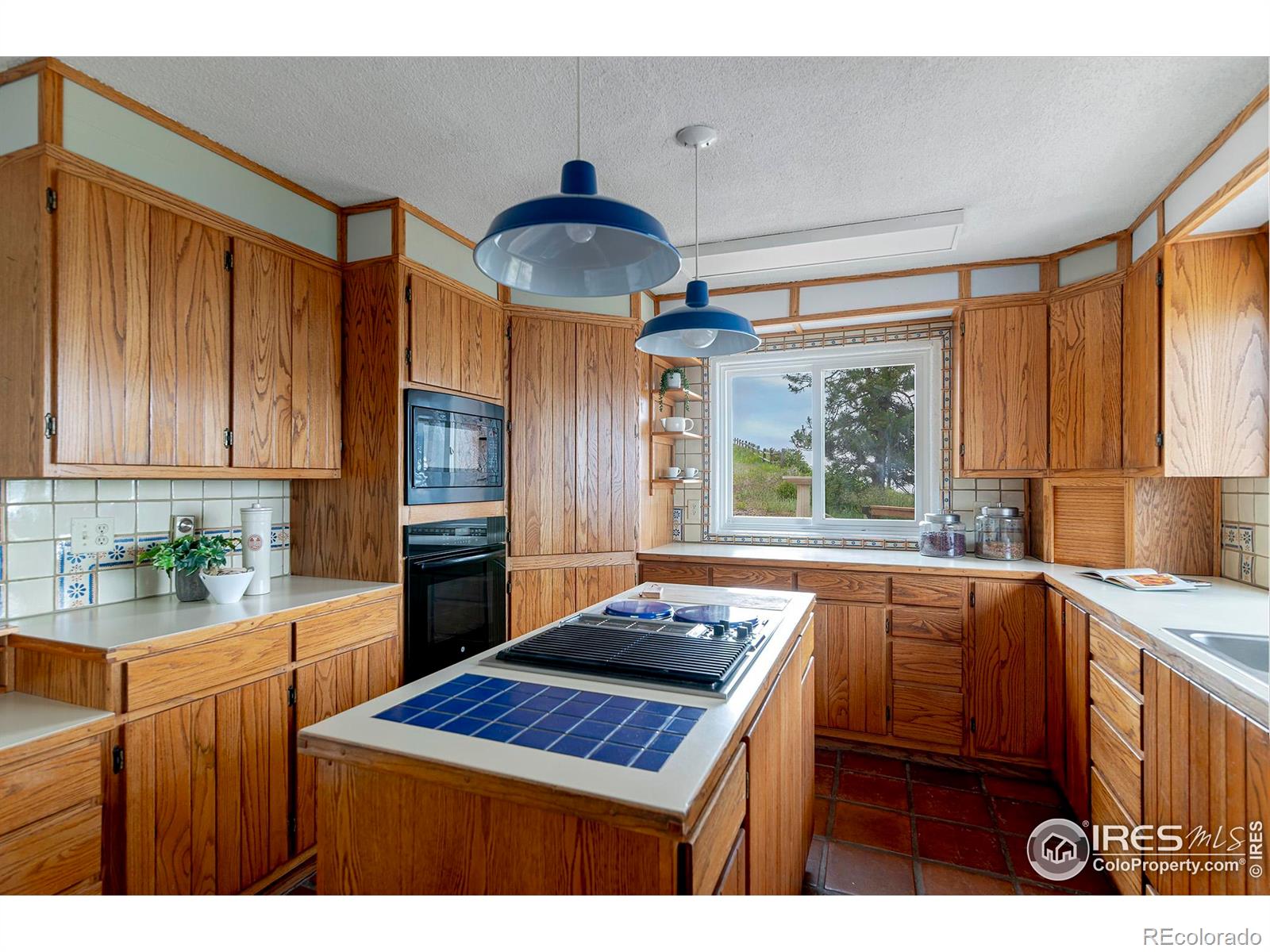 MLS Image #23 for 3884  douglas mountain drive,golden, Colorado
