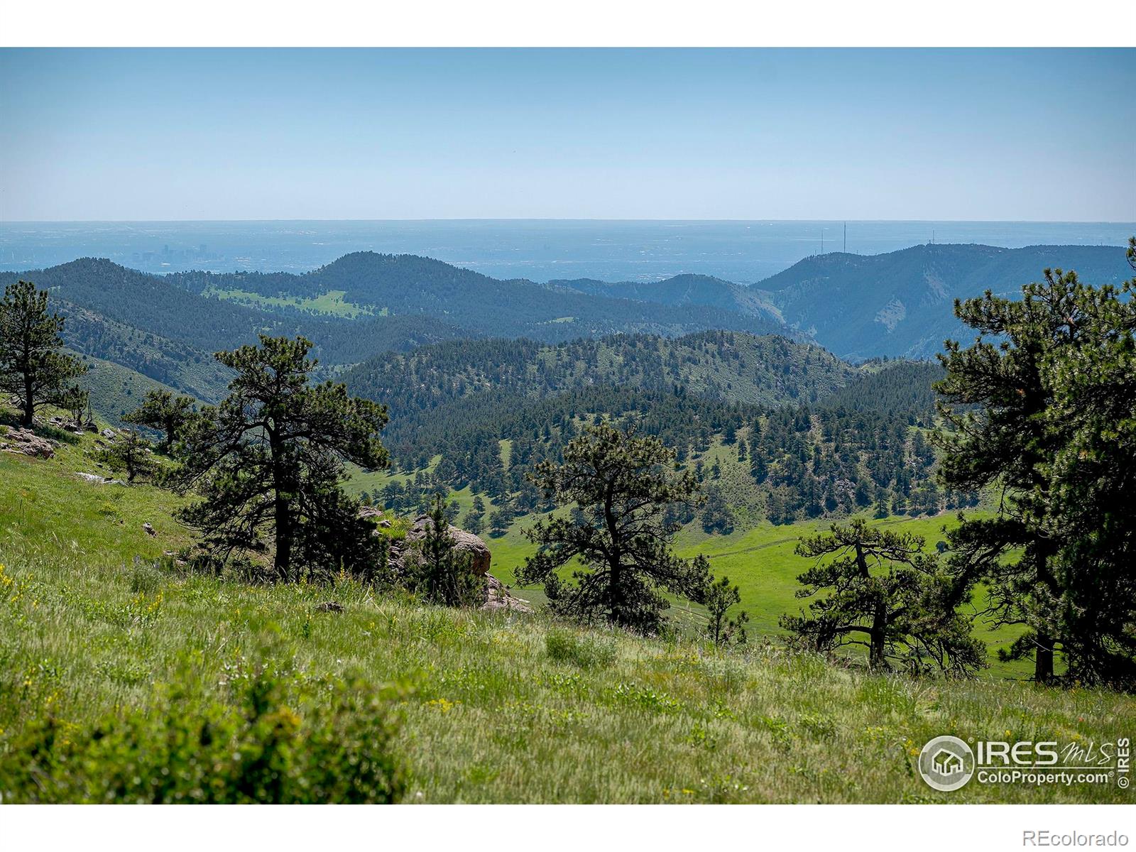 MLS Image #5 for 3884  douglas mountain drive,golden, Colorado