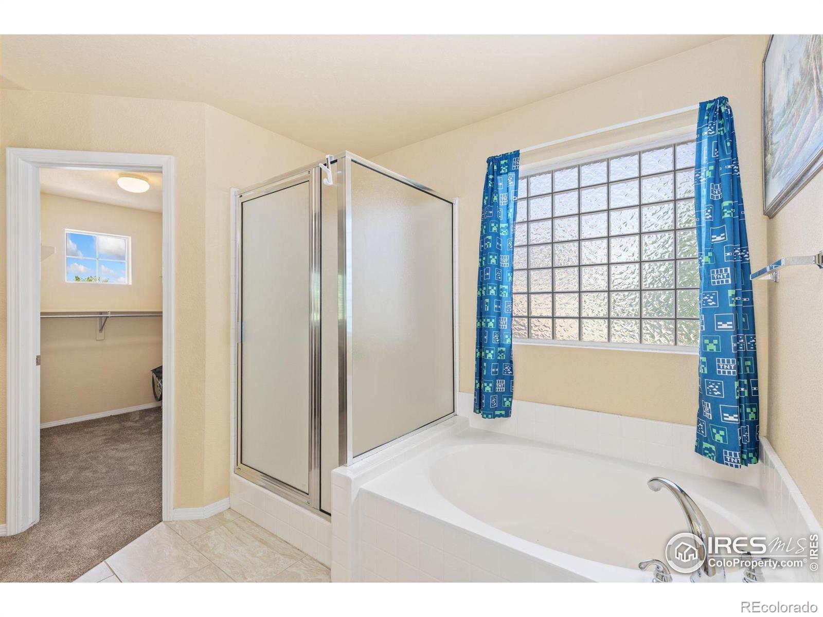 MLS Image #14 for 670  short court,dacono, Colorado