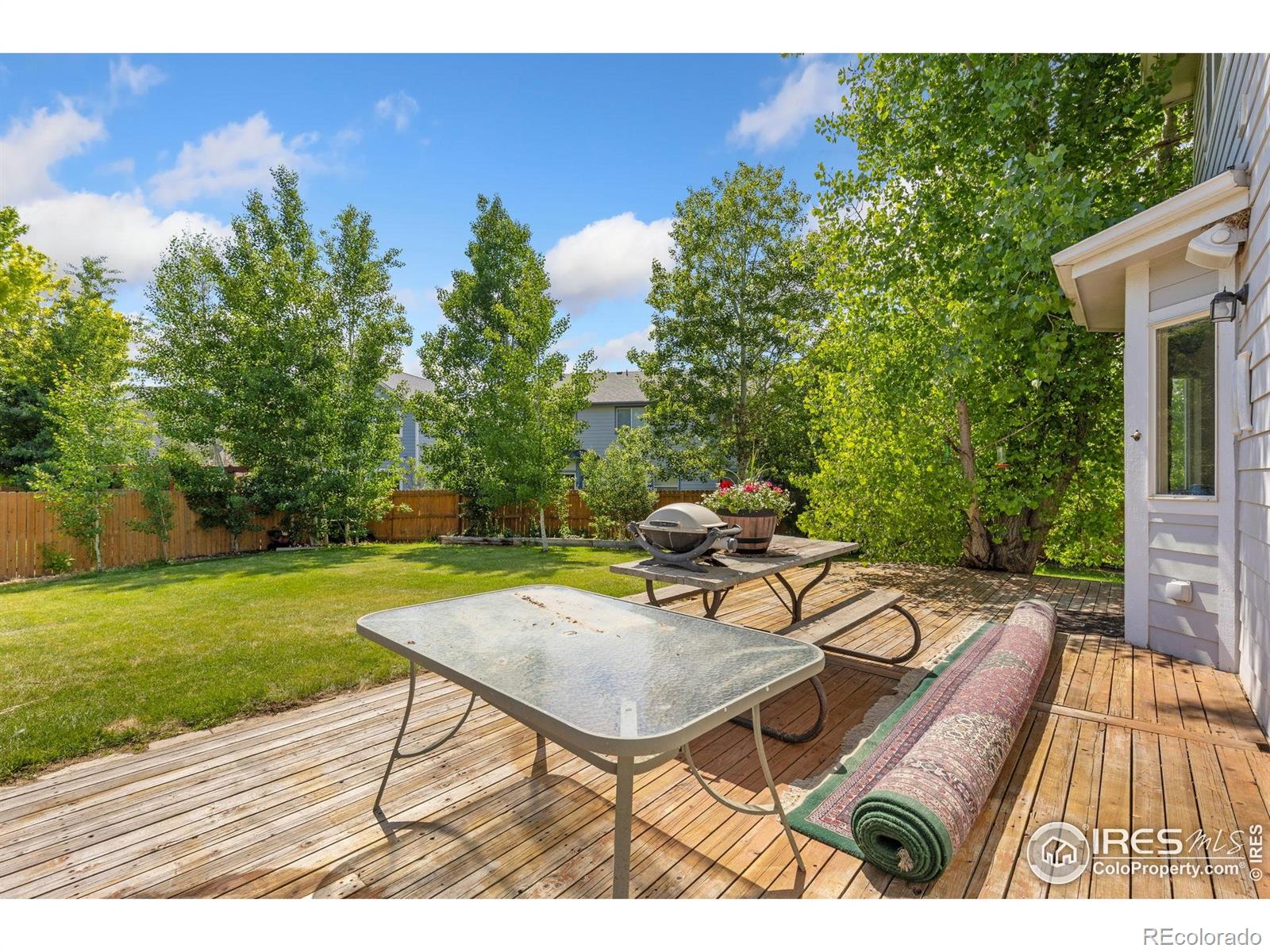MLS Image #18 for 670  short court,dacono, Colorado