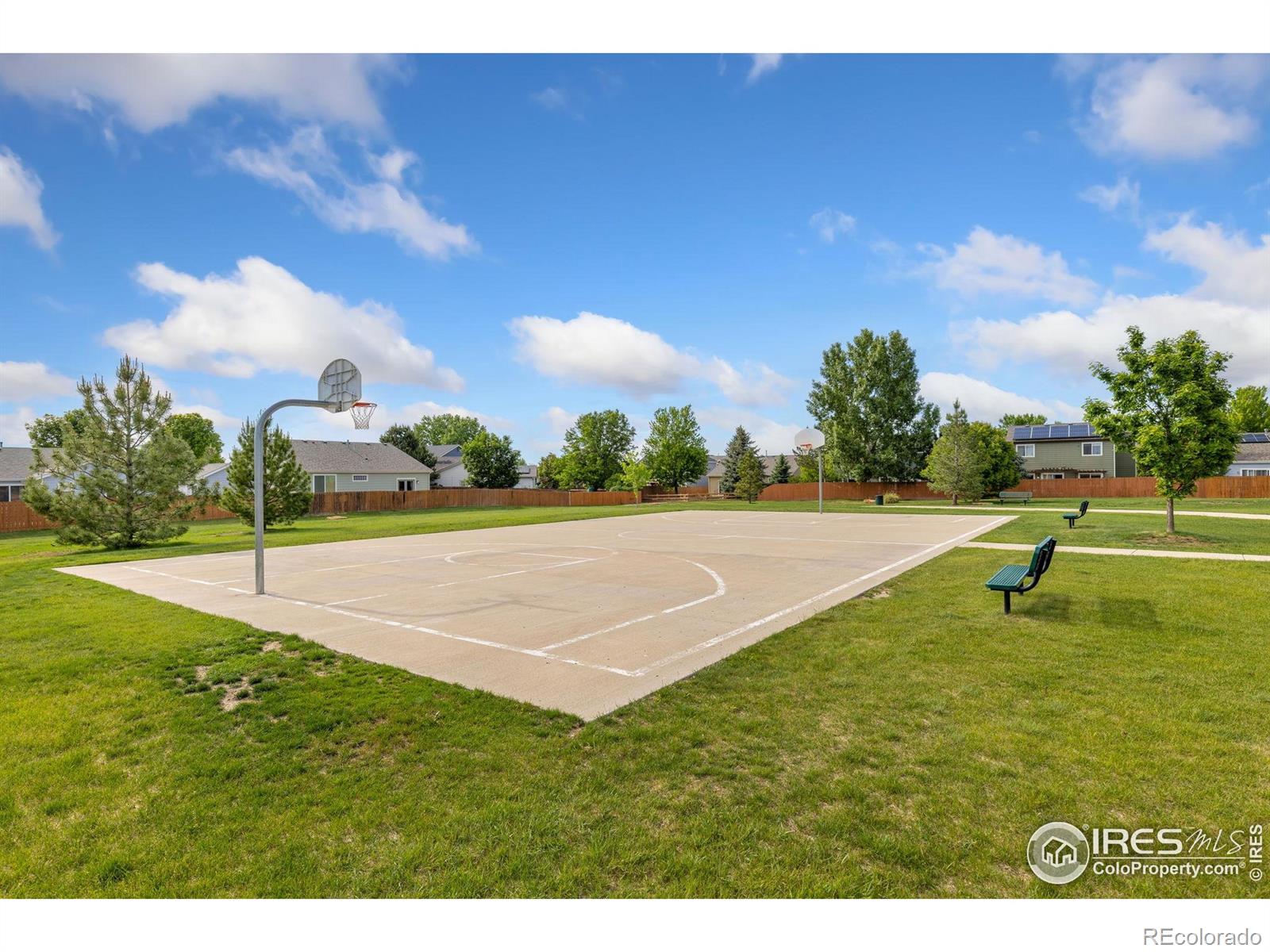 MLS Image #19 for 670  short court,dacono, Colorado