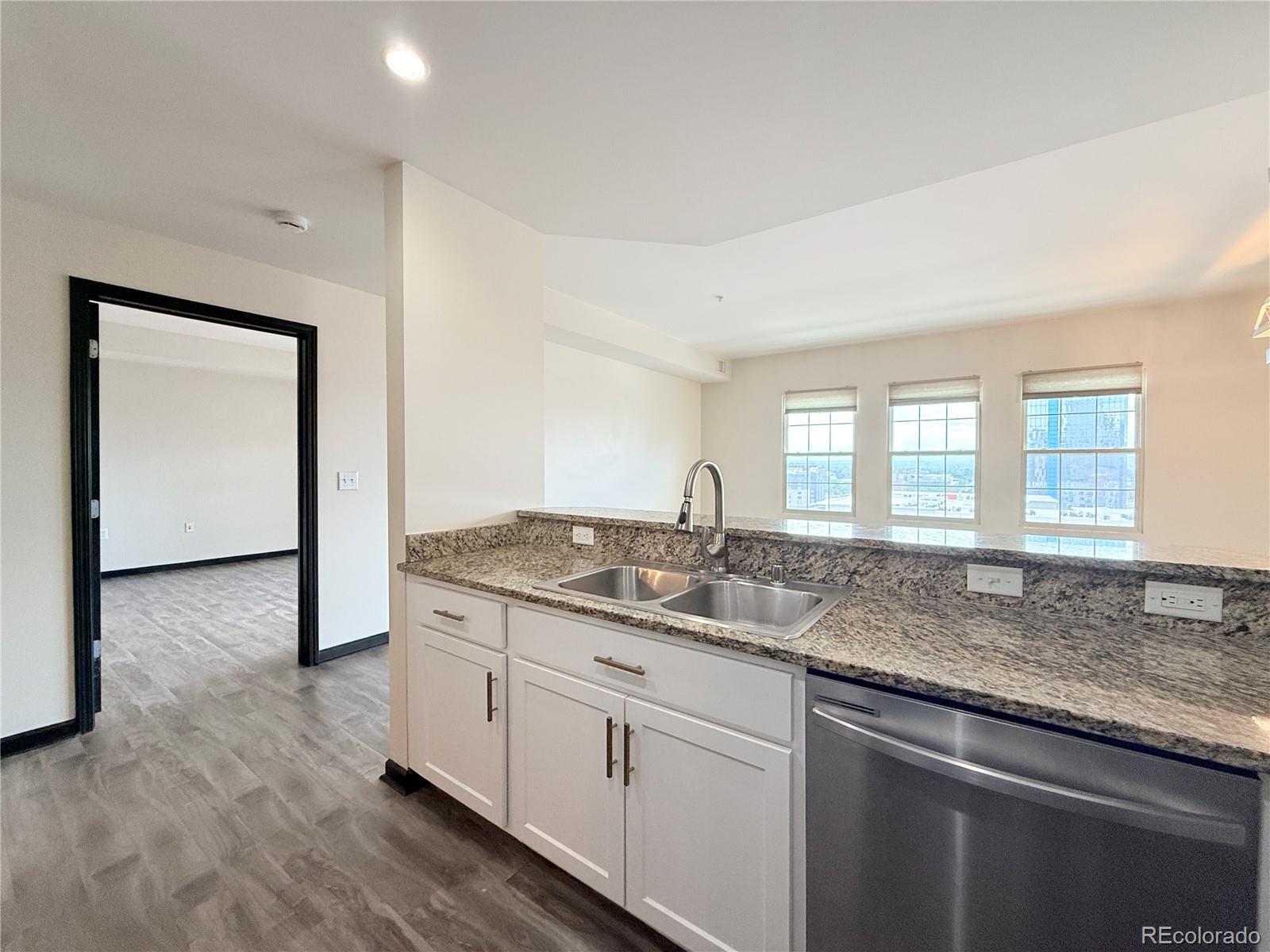 MLS Image #8 for 925 n lincoln street,denver, Colorado