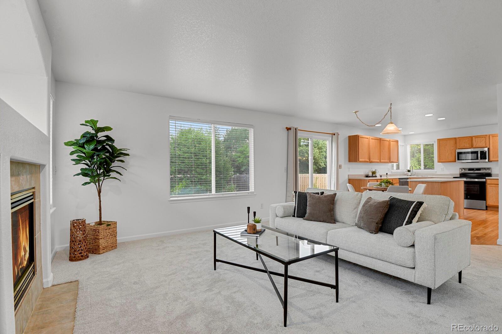 MLS Image #18 for 722  ridge creek court,longmont, Colorado