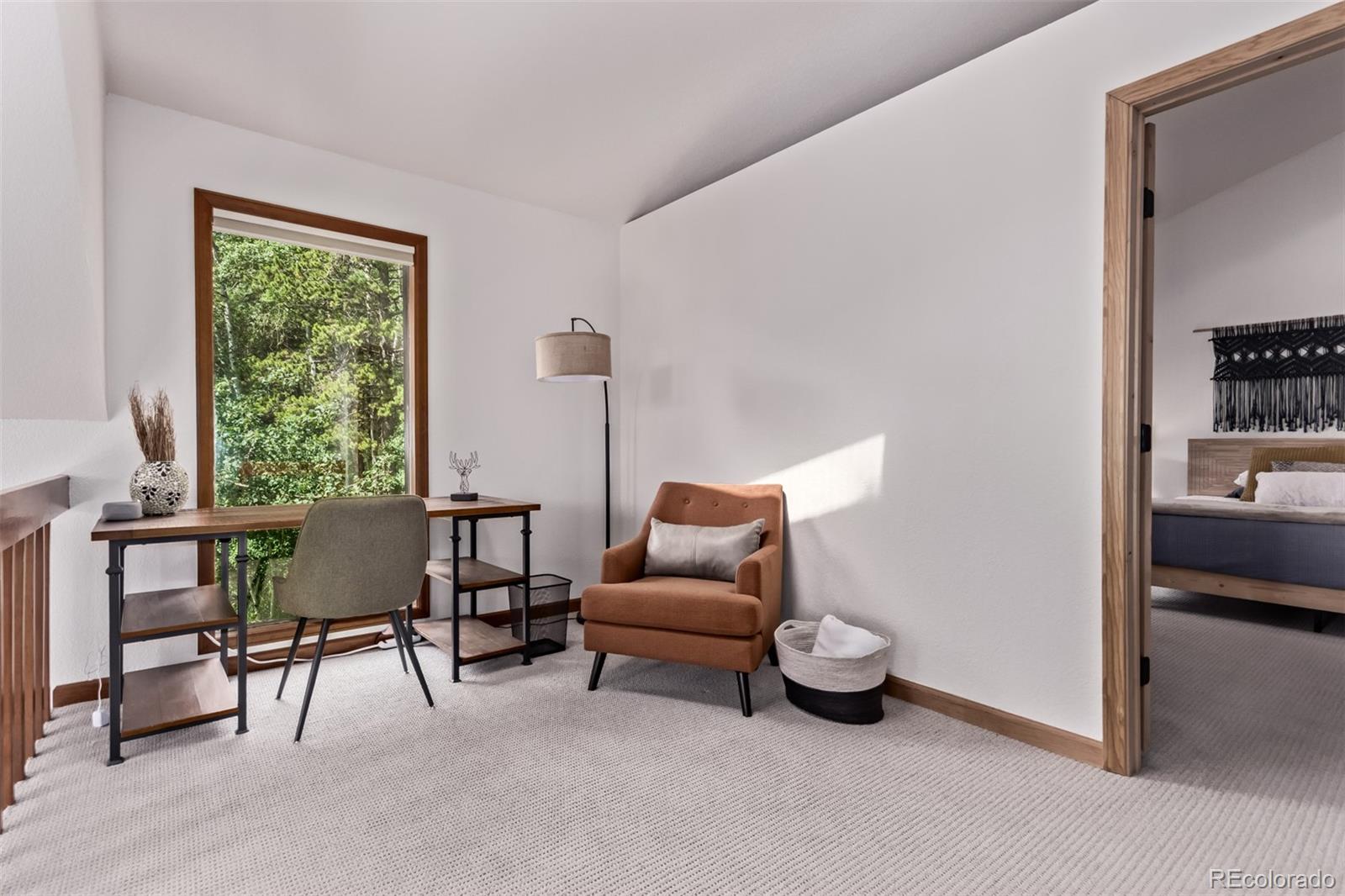 MLS Image #16 for 20223  goins drive,morrison, Colorado