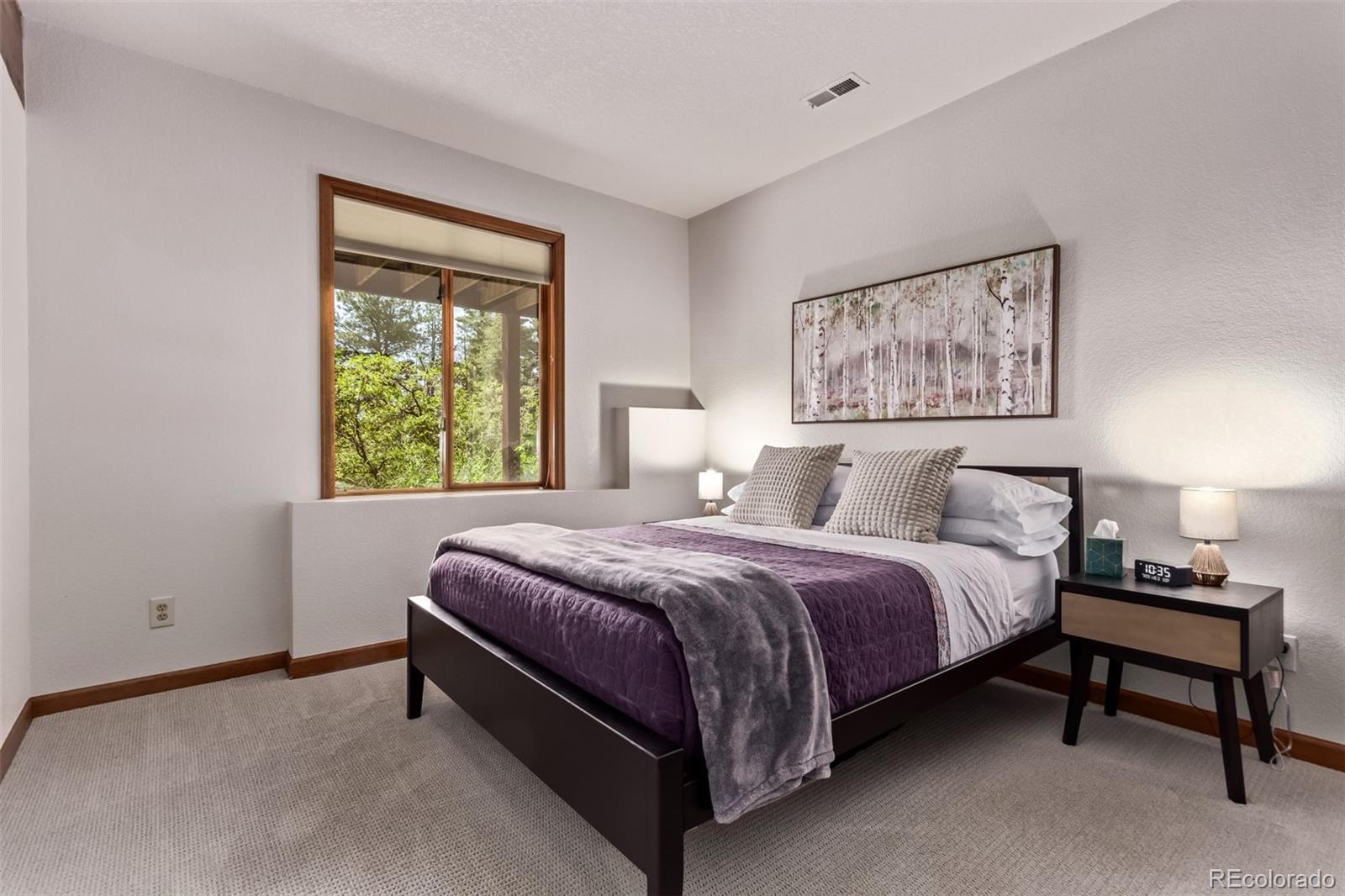 MLS Image #25 for 20223  goins drive,morrison, Colorado