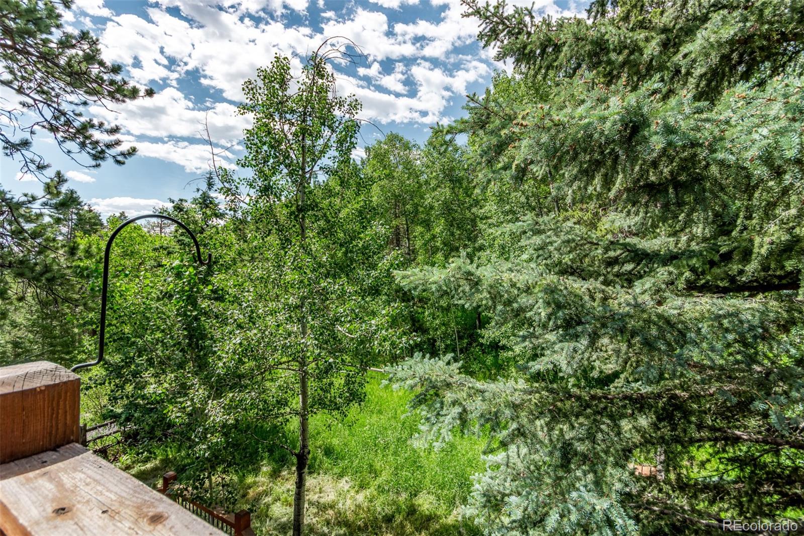 MLS Image #29 for 20223  goins drive,morrison, Colorado