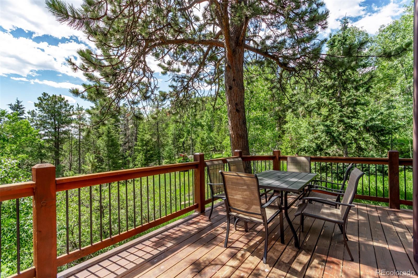 MLS Image #32 for 20223  goins drive,morrison, Colorado