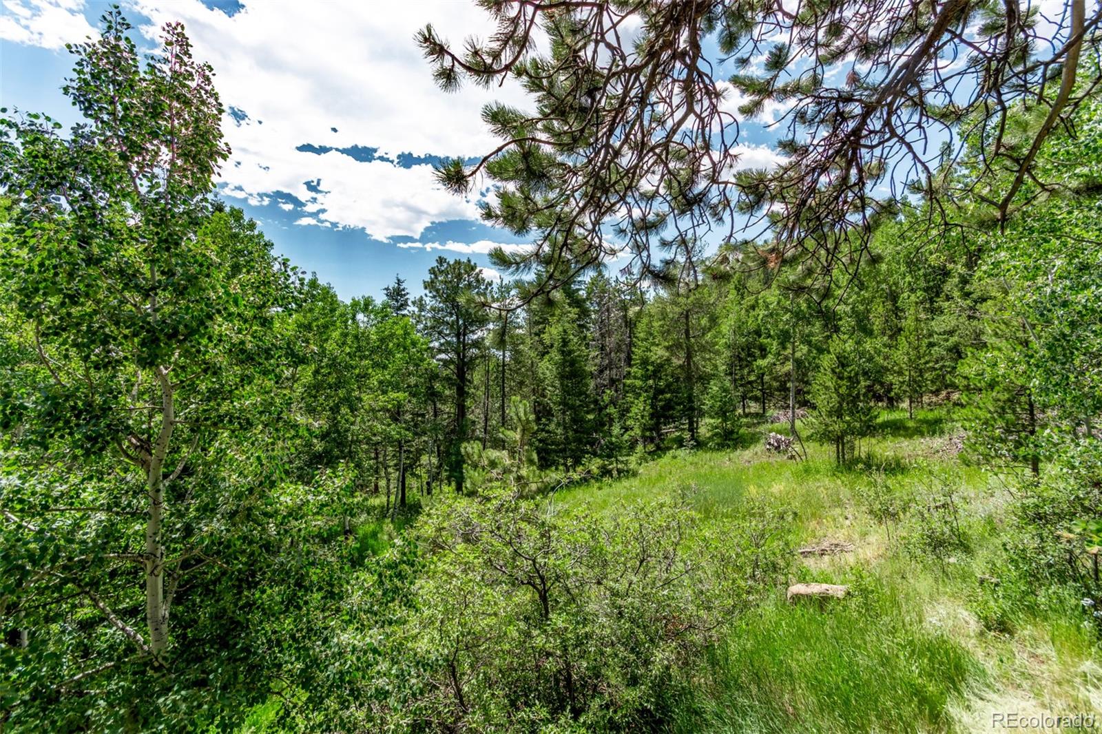 MLS Image #33 for 20223  goins drive,morrison, Colorado