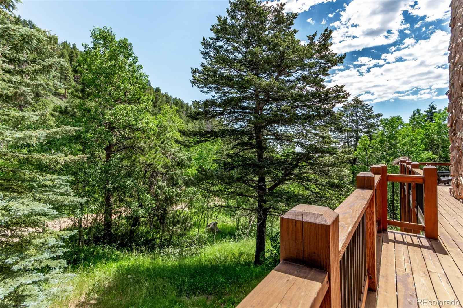 MLS Image #43 for 20223  goins drive,morrison, Colorado