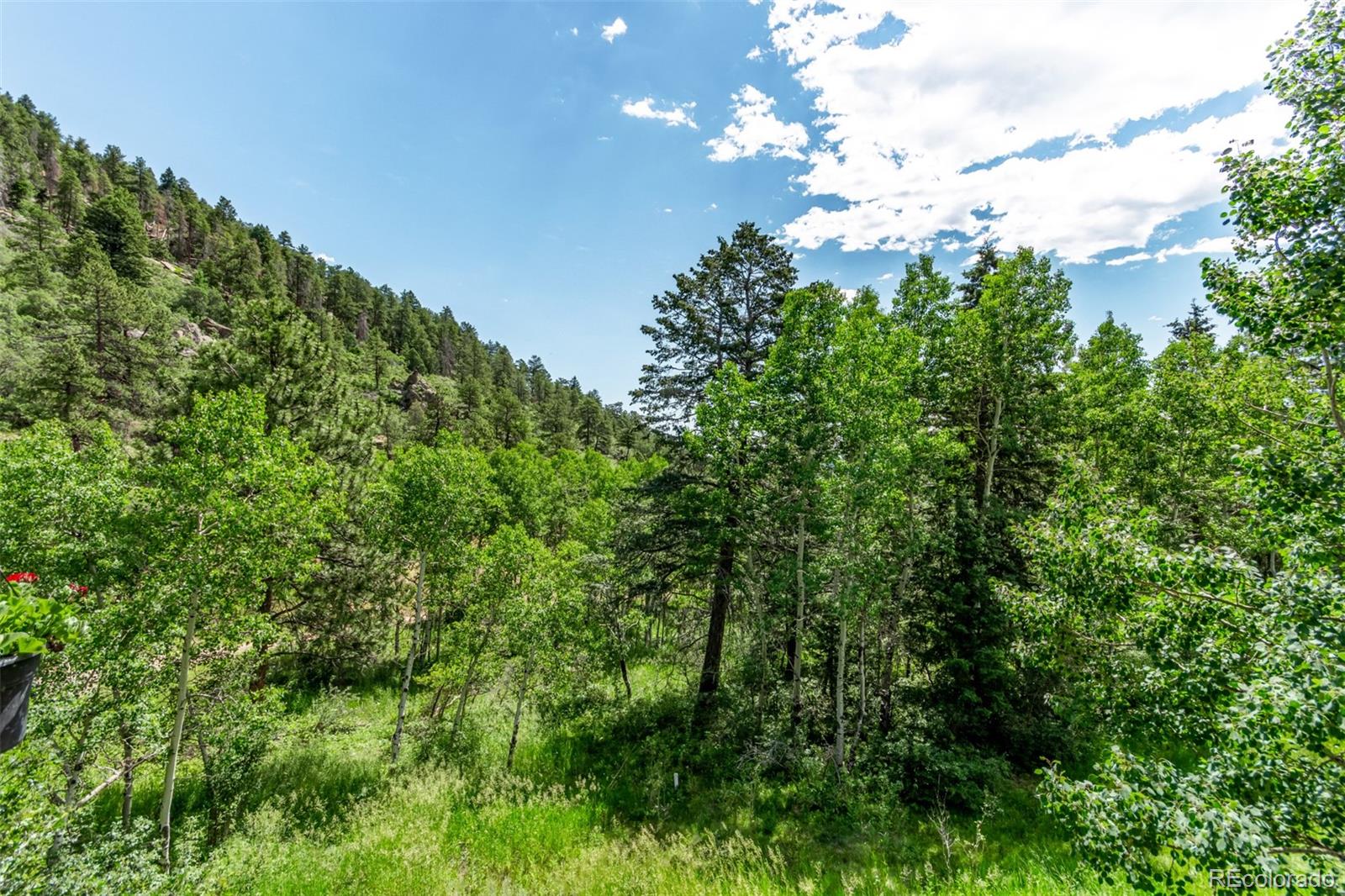 MLS Image #48 for 20223  goins drive,morrison, Colorado