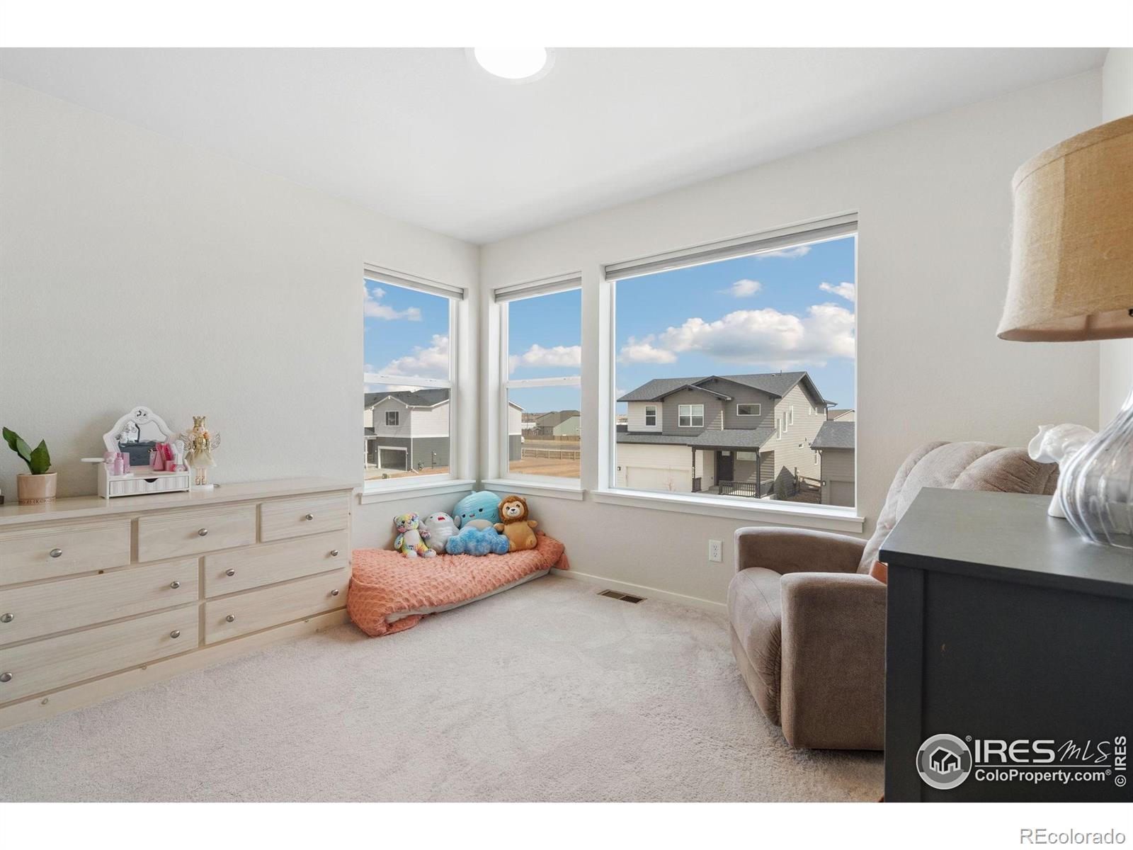 MLS Image #19 for 5199  beckworth street,timnath, Colorado
