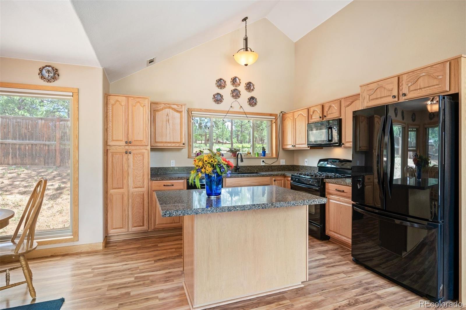 MLS Image #11 for 21  crystal rock road,bailey, Colorado