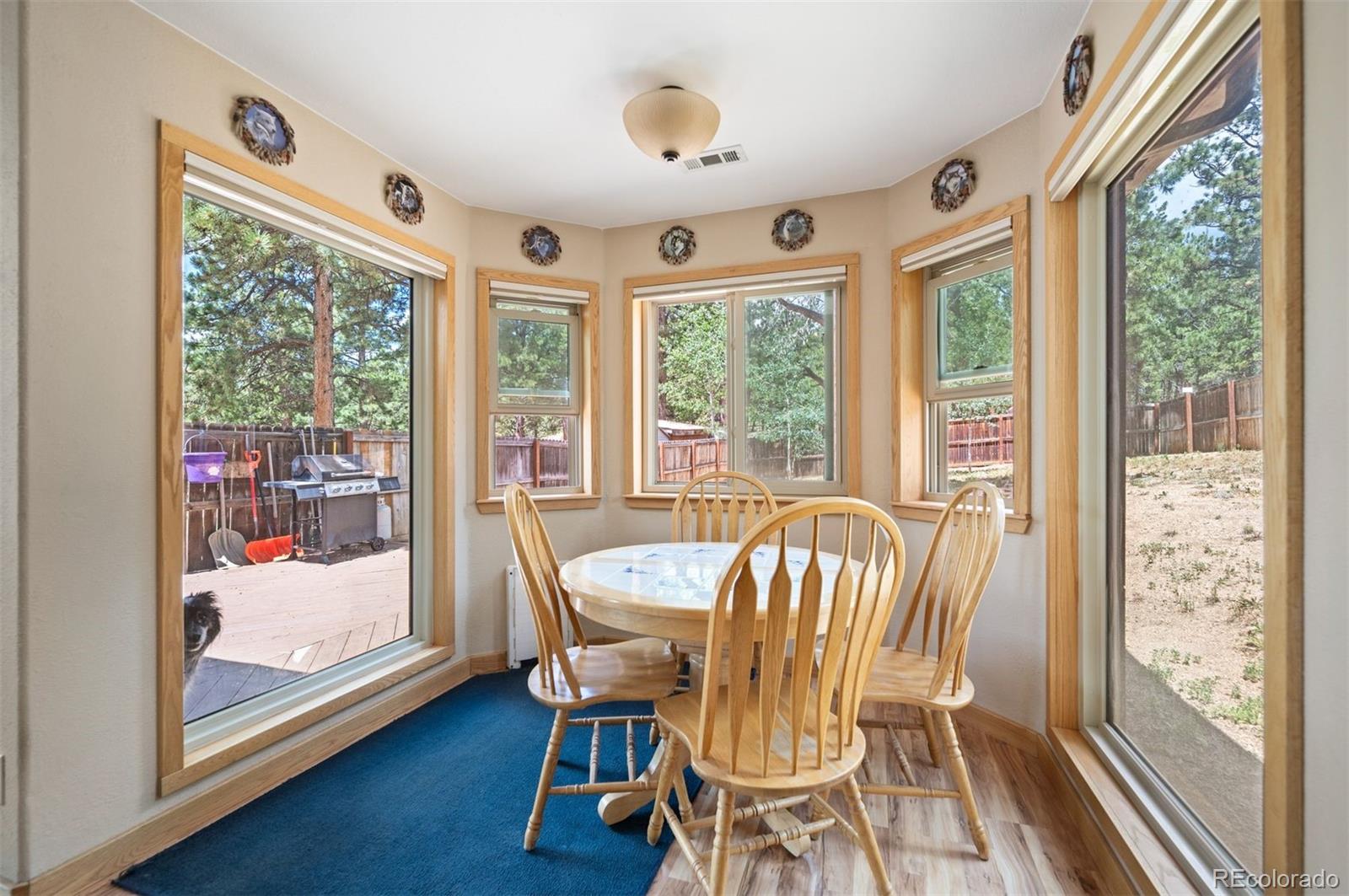MLS Image #13 for 21  crystal rock road,bailey, Colorado