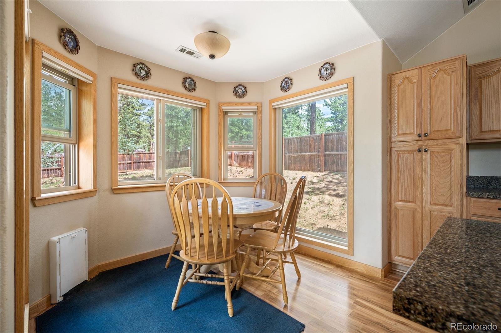 MLS Image #14 for 21  crystal rock road,bailey, Colorado
