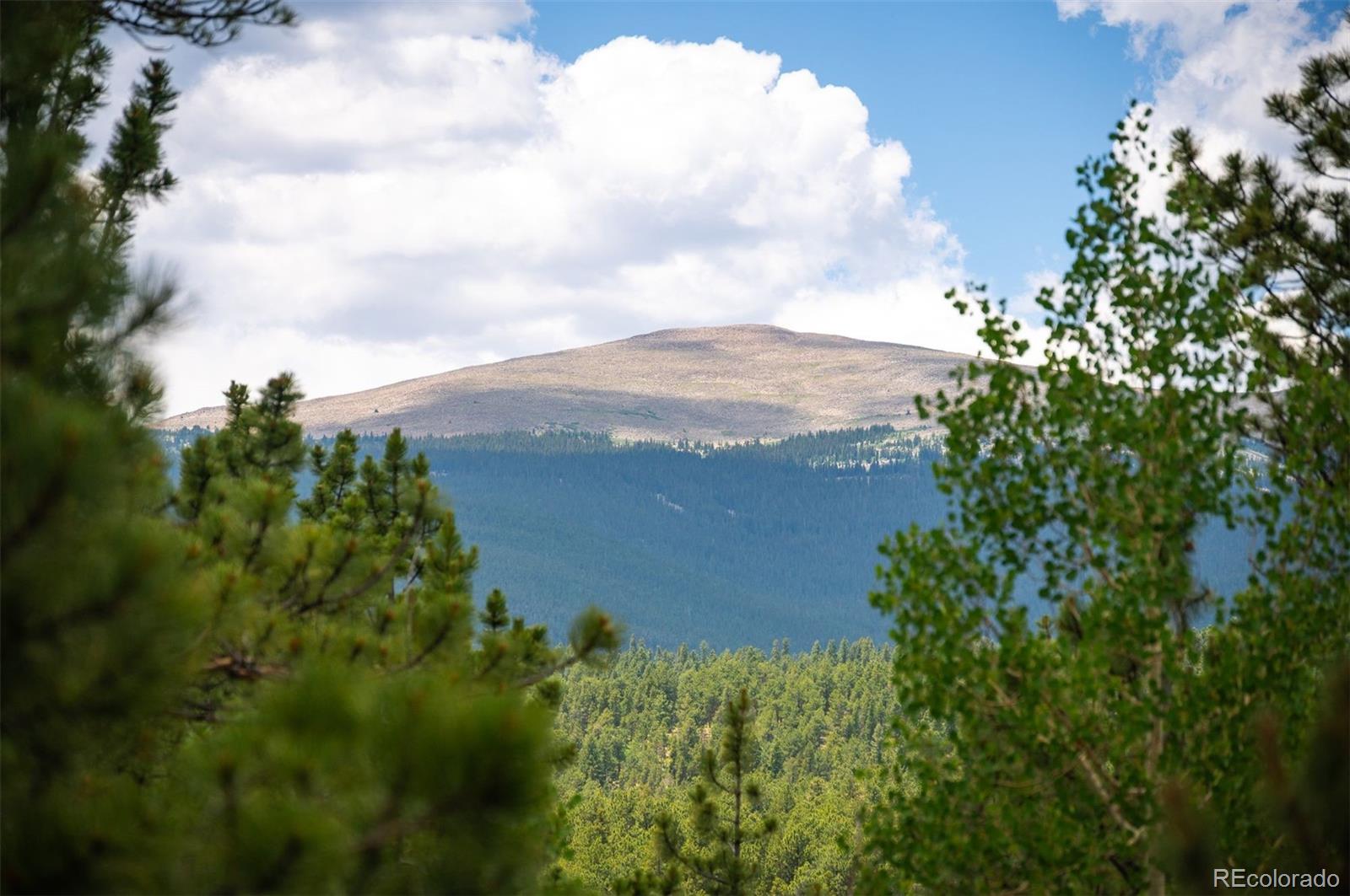MLS Image #22 for 21  crystal rock road,bailey, Colorado