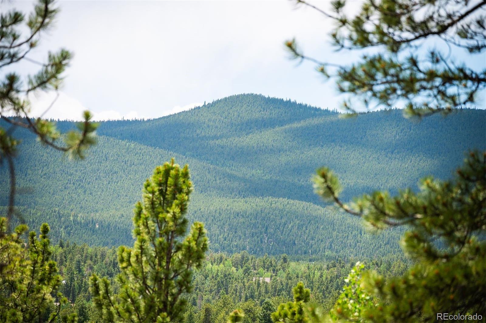MLS Image #23 for 21  crystal rock road,bailey, Colorado