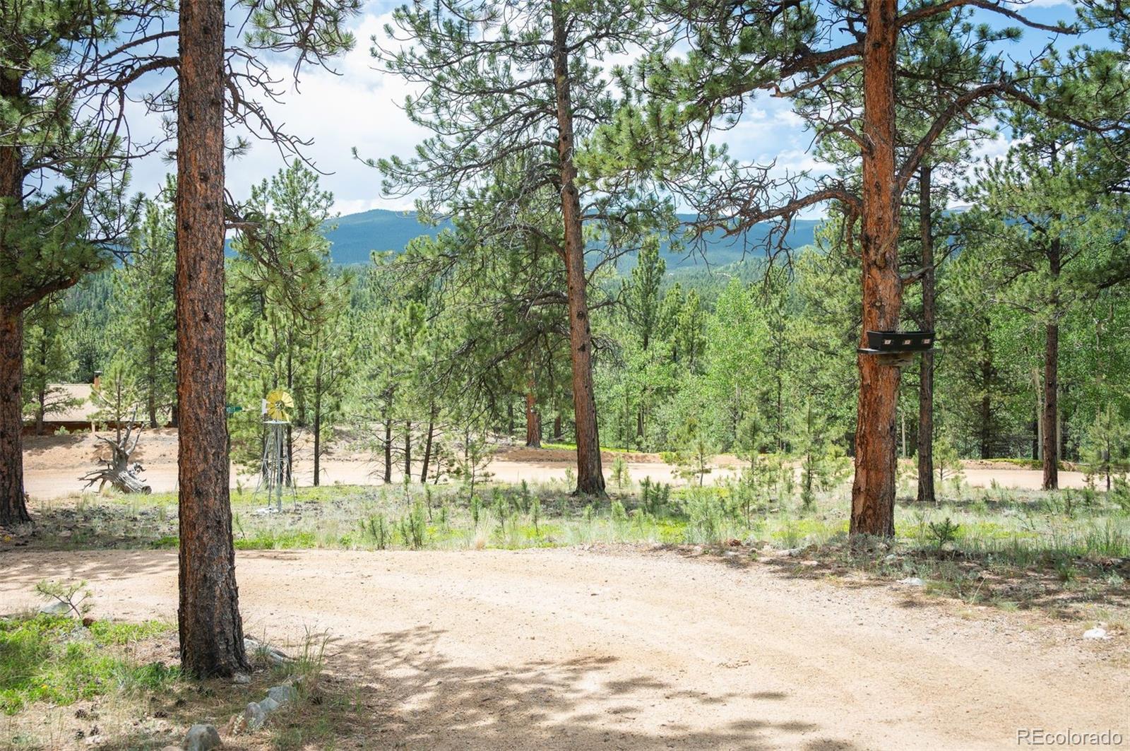 MLS Image #31 for 21  crystal rock road,bailey, Colorado