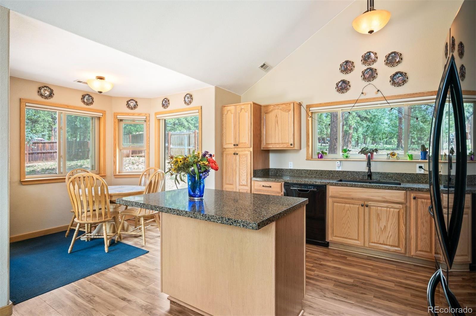 MLS Image #4 for 21  crystal rock road,bailey, Colorado