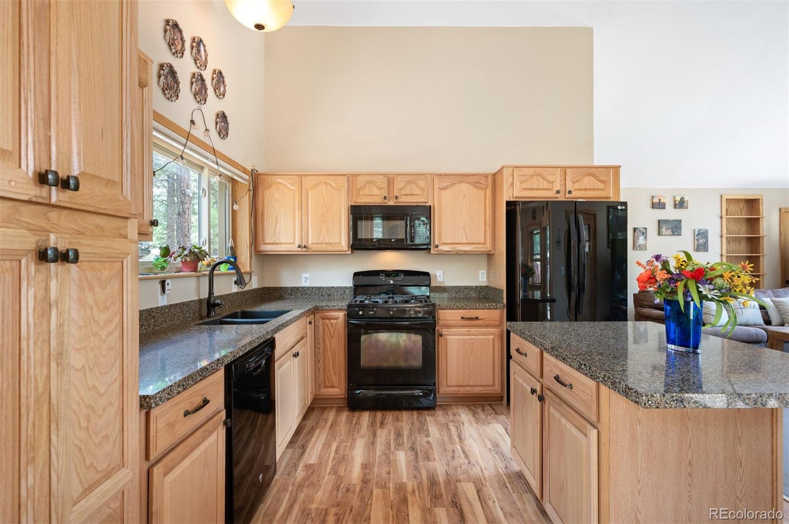 MLS Image #6 for 21  crystal rock road,bailey, Colorado