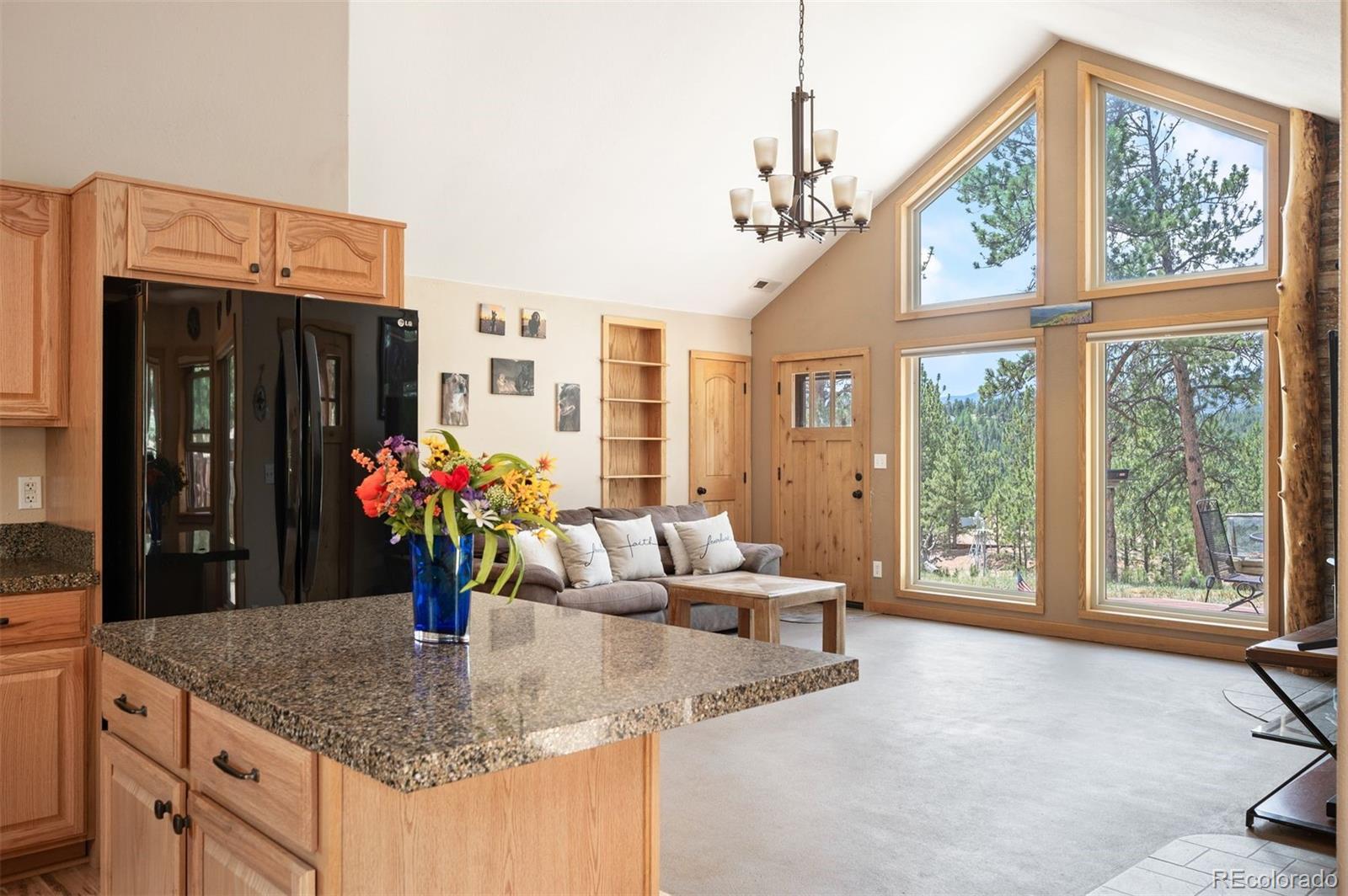 MLS Image #7 for 21  crystal rock road,bailey, Colorado