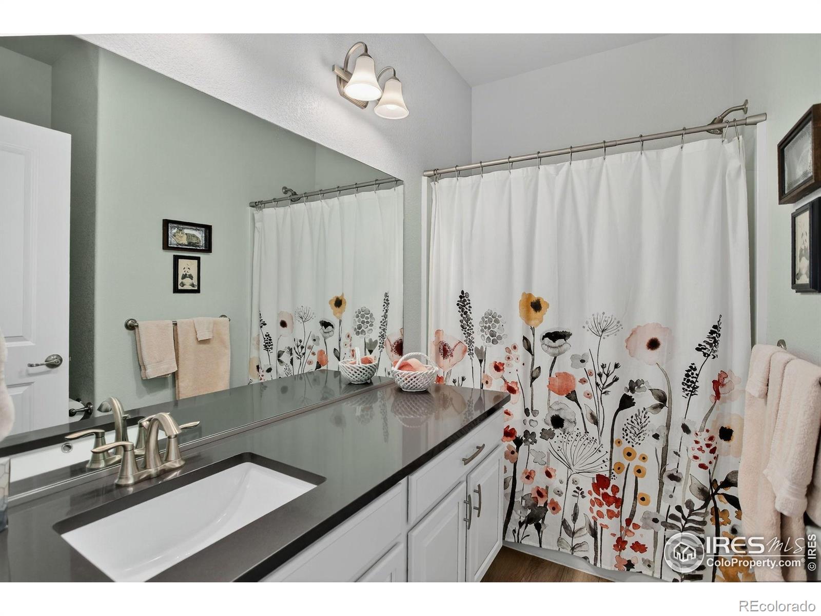 MLS Image #21 for 274  saskatoon drive,windsor, Colorado