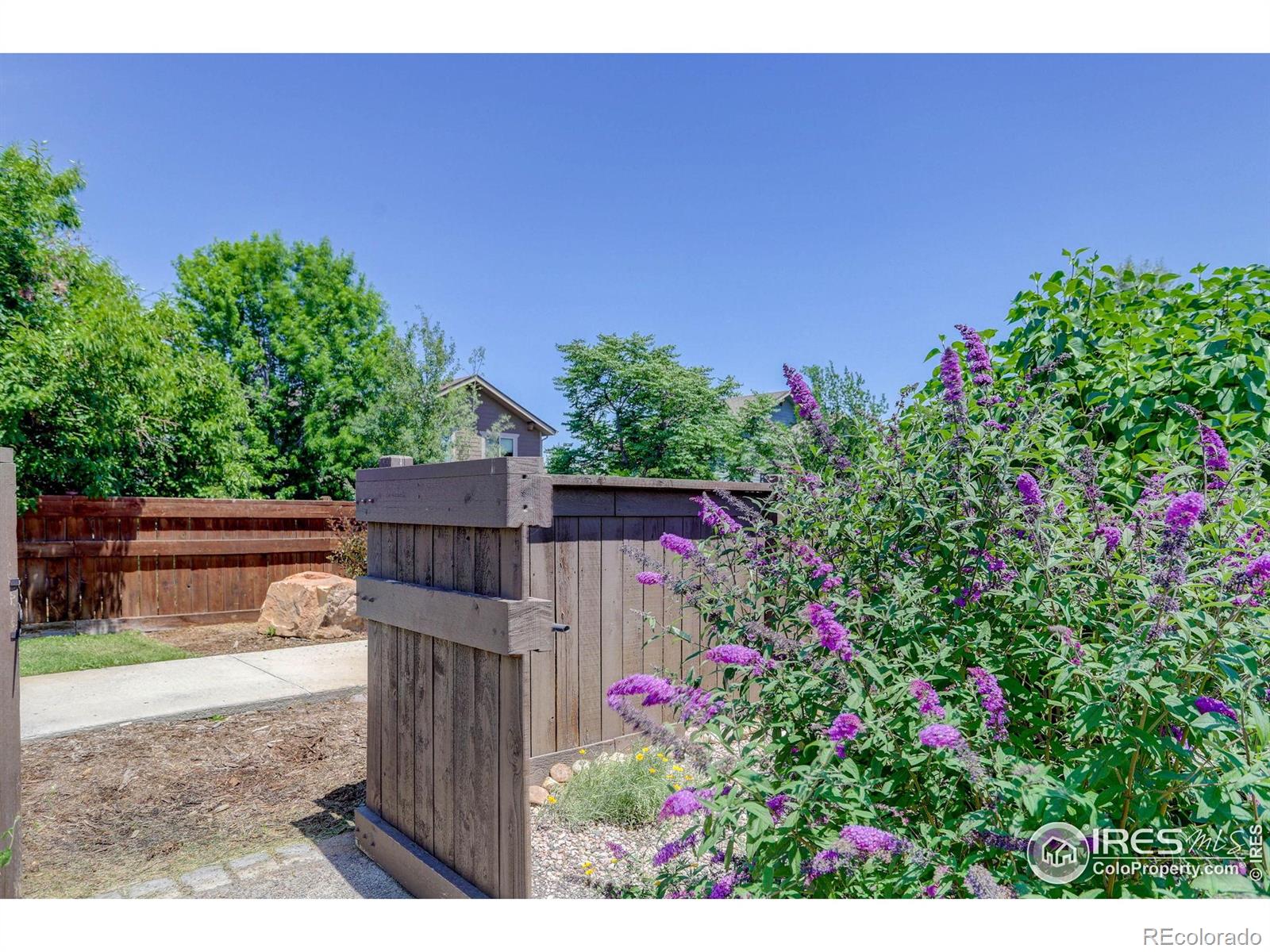MLS Image #34 for 274  saskatoon drive,windsor, Colorado
