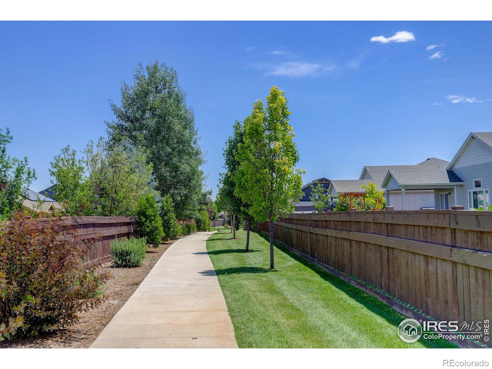 MLS Image #35 for 274  saskatoon drive,windsor, Colorado