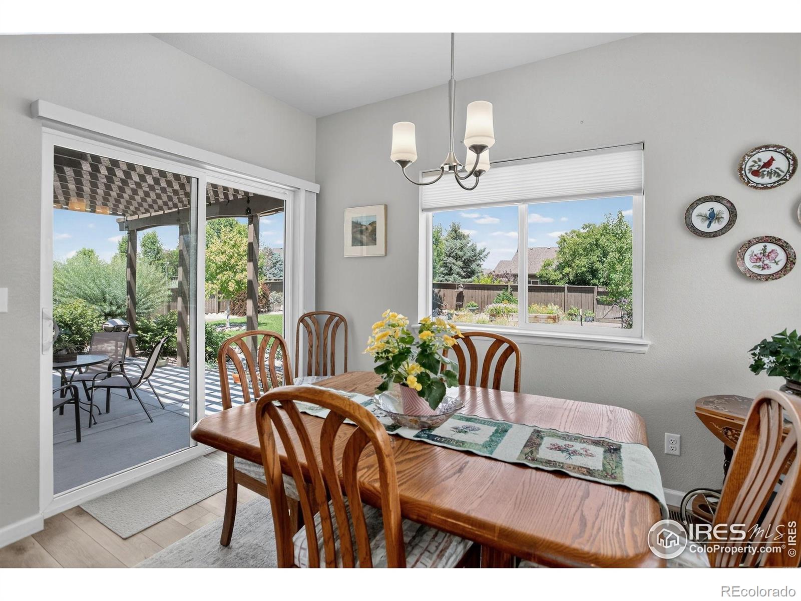 MLS Image #8 for 274  saskatoon drive,windsor, Colorado