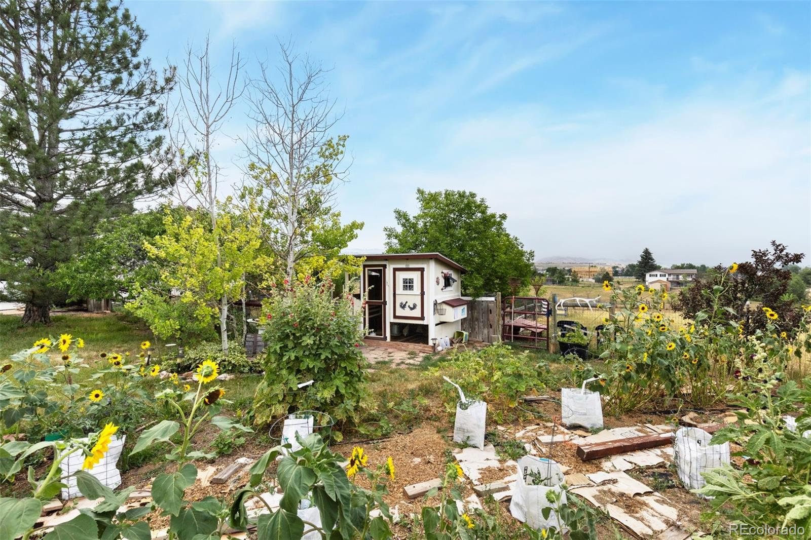 MLS Image #26 for 4808  beverly drive,berthoud, Colorado