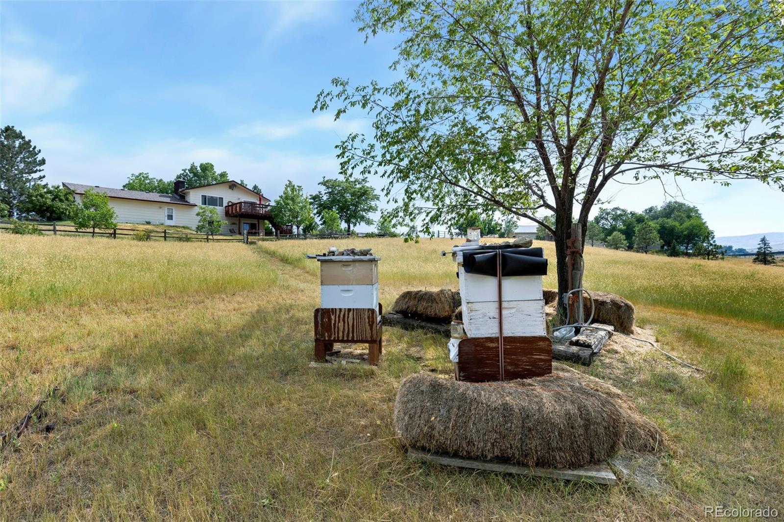 MLS Image #27 for 4808  beverly drive,berthoud, Colorado