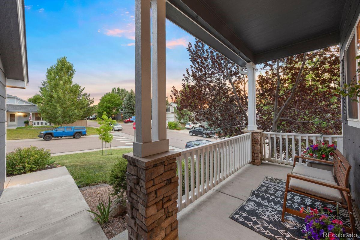 MLS Image #18 for 3357  holly hock court,castle rock, Colorado
