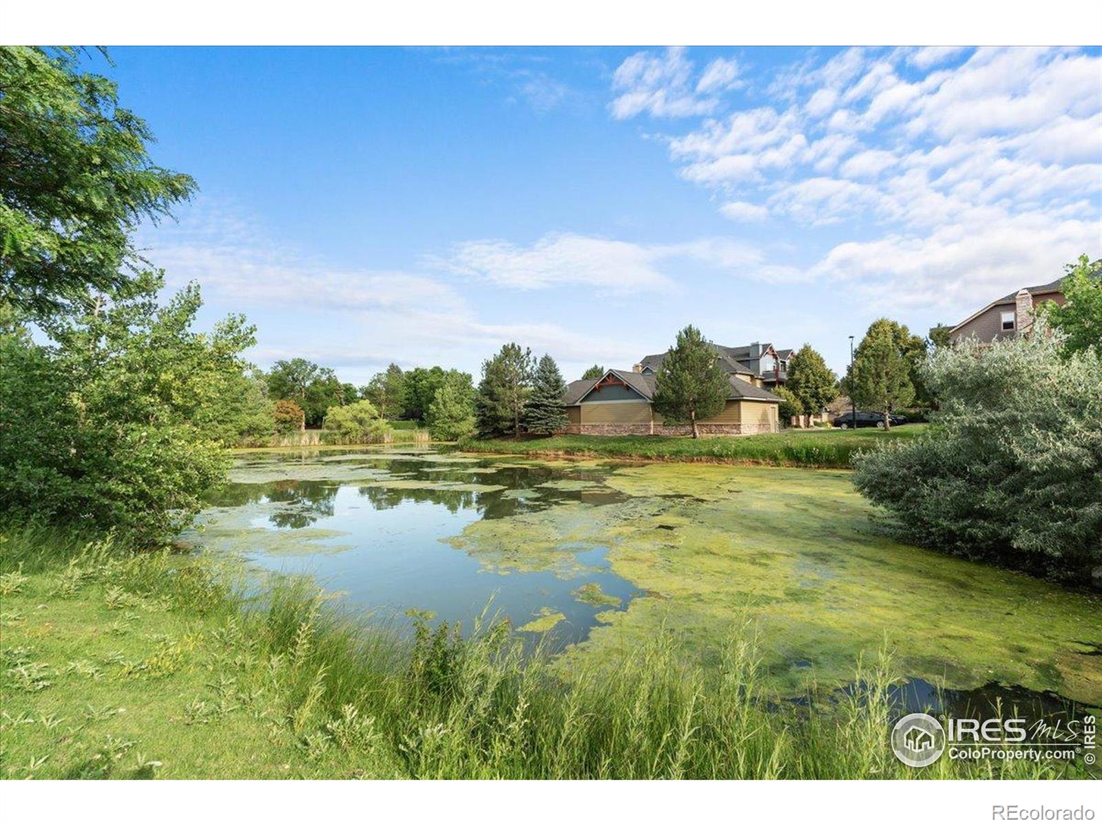 MLS Image #33 for 5220  boardwalk drive,fort collins, Colorado