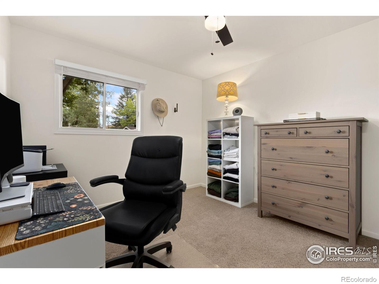 MLS Image #9 for 825  rocky road,fort collins, Colorado