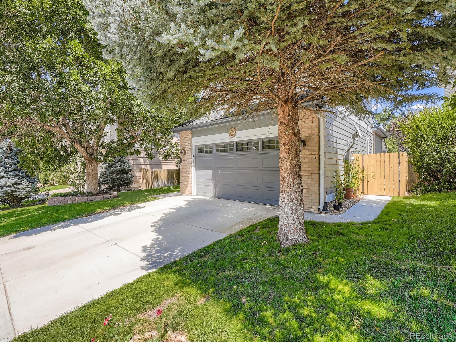 MLS Image #2 for 10820  milliken street,parker, Colorado
