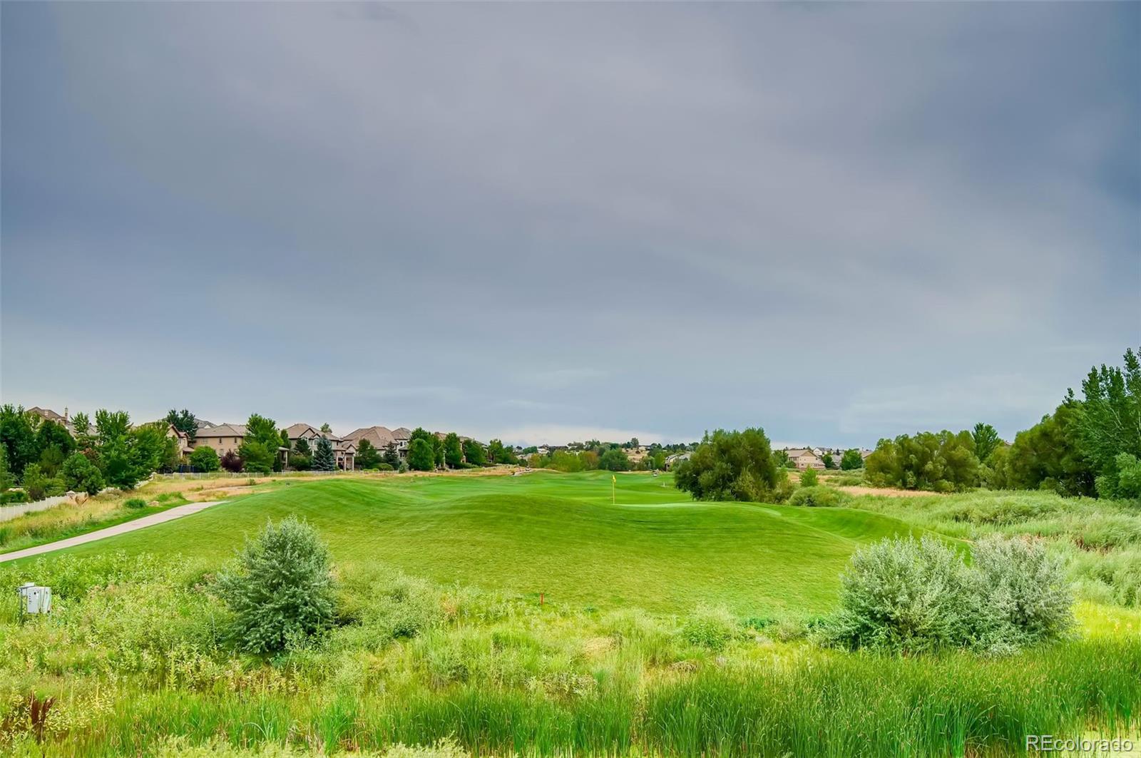 MLS Image #16 for 22843 e briarwood place,aurora, Colorado