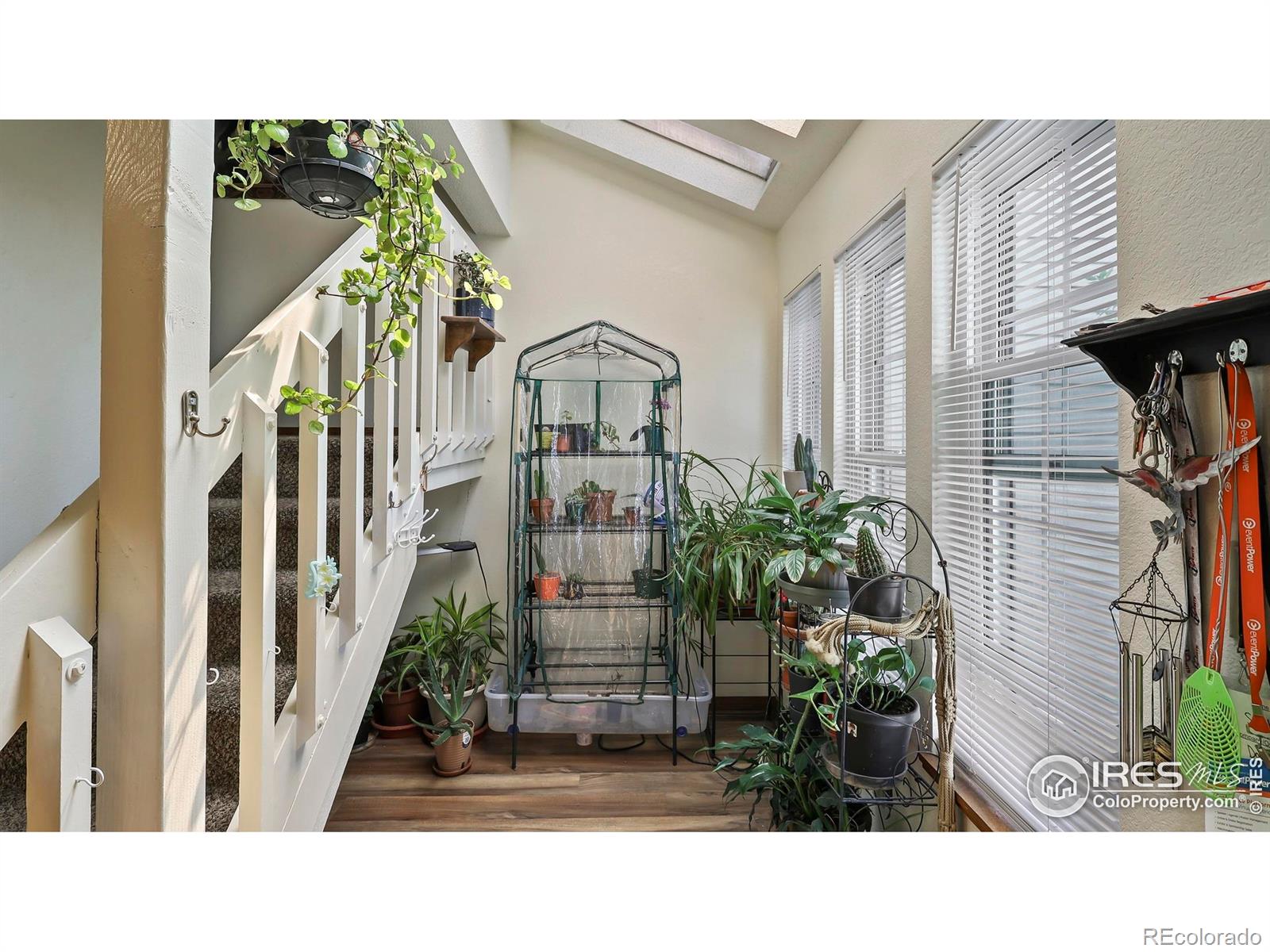 MLS Image #9 for 5809 w 18th street,greeley, Colorado