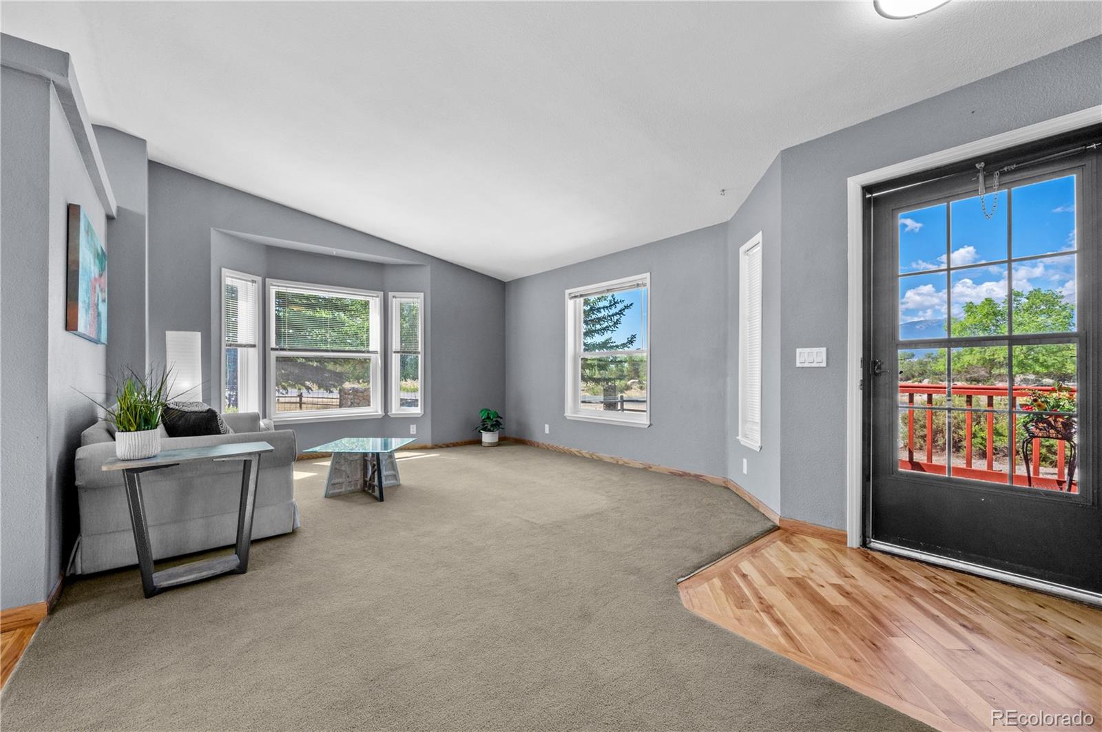 MLS Image #10 for 539  arizona street,buena vista, Colorado